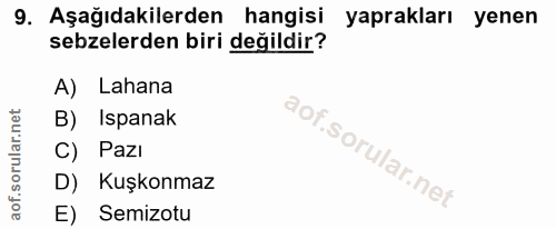 9. soru: Aşağıdakilerden hangisi yaprakları yenen sebzelerden biri değildir? A) Lahana B) Ispanak C) Pazı D) Kuşkonmaz E) Semi…