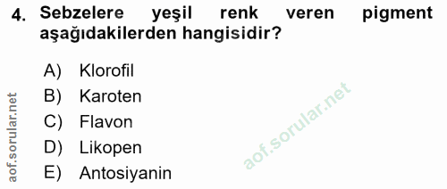 4. soru: Sebzelere yeşil renk veren pigment aşağıdakilerden hangisidir? A) Klorofil B) Karoten C) Flavon D) Likopen E) Antosiy…