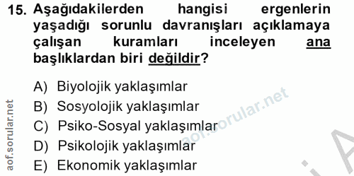 15. soru: Aşağıdakilerden hangisi ergenlerin yaşadığı sorunlu davranışları açıklamaya çalışan kuramları inceleyen ana başlıklar…