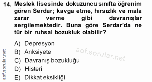 14. soru: Meslek lisesinde dokuzuncu sınıfta öğrenim gören Serdar; kavga etme, hırsızlık ve mala zarar verme gibi davranışlar s…