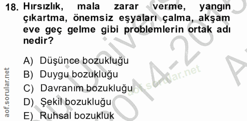 18. soru: Hırsızlık, mala zarar verme, yangın çıkartma, önemsiz eşyaları çalma, akşam eve geç gelme gibi problemlerin ortak adı…