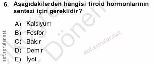 6. soru: Aşağıdakilerden hangisi tiroid hormonlarının sentezi için gereklidir? A) Kalsiyum one B) Fosfor C) Bakır D) Demir E)…