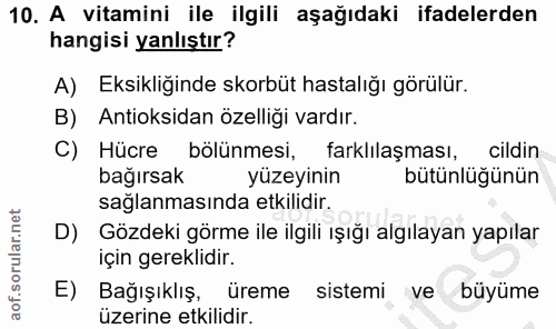 10. soru: A vitamini ile ilgili aşağıdaki ifadelerden hangisi yanlıştır? A) Eksikliğinde skorbüt hastalığı görülür. B) Antioksi…