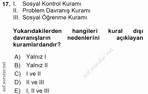 17. soru: 1. Sosyal Kontrol Kuramı II. Problem Davranış Kuramı III. Sosyal Öğrenme Kuramı Yukarıdakilerden hangileri kural dişı…