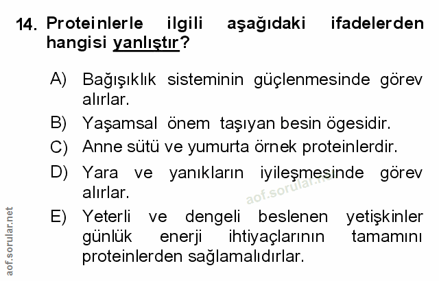 14. soru: Proteinlerle ilgili aşağıdaki ifadelerden hangisi yanlıştır? A) Bağışıklık sisteminin güçlenmesinde görev alırlar. B)…