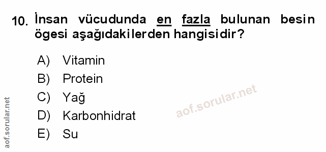 10. soru: İnsan vücudunda en fazla bulunan besin ögesi aşağıdakilerden hangisidir? A) Vitamin B) Protein C) Yağ aof.sorular.n D…