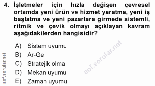 4. soru: İşletmeler için hızla değişen çevresel ortamda yeni ürün ve hizmet yaratma, yeni iş başlatma ve yeni pazarlara girmed…