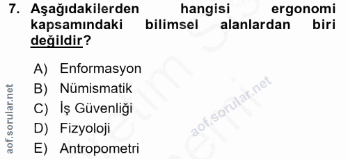 7. soru: Aşağıdakilerden hangisi ergonomi kapsamındaki bilimsel alanlardan biri değildir? A) Enformasyon B) Nümismatik C) İş G…