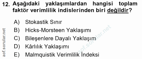 12. soru: Aşağıdaki yaklaşımlardan hangisi toplam faktör verimlilik inislerinden biri değildir? A) Stokastik Sınır B) Hicks-Mor…