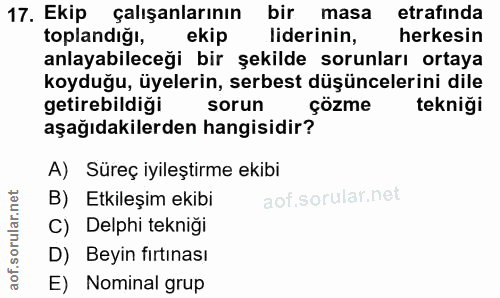17. soru: Ekip çalışanlarının bir masa etrafında toplandiğı, ekip liderinin, herkesin anlayabileceği bir şekilde sorunları orta…