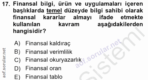 17. soru: Finansal bilgi, ürün ve uygulamaları içeren başlıklarda temel düzeyde bilgi sahibi olarak finansal kararlar almayı if…