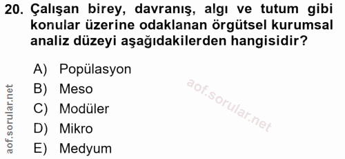 20. soru: Çalışan birey, davranış, algı ve tutum gibi konular üzerine odaklanan örgütsel kurumsal analiz düzeyi aşağıdakilerden…