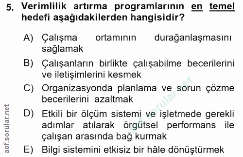 5. soru: Verimlilik artırma programlarının en temel hedefi aşağıdakilerden hangisidir? A) Çalışma ortamının durağanlaşmasını s…