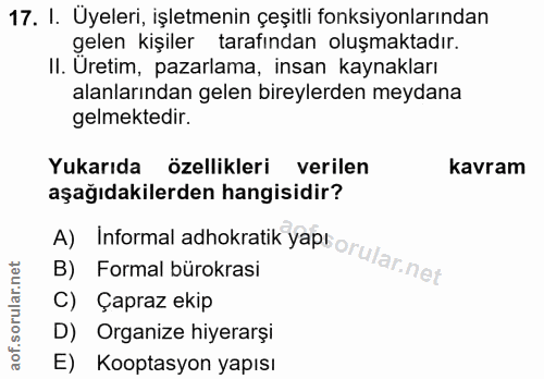 17. soru: I. Üyeleri, işletmenin çeşitli fonksiyonlarından gelen kişiler tarafından oluşmaktadır. II. Üretim, pazarlama, insan…