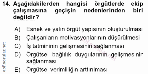 14. soru: Aşağıdakilerden hangisi örgütlerde ekip çalışmasına geçişin nedenlerinden biri değildir? A) Esnek ve yalın örgüt yapı…