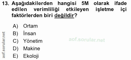 13. soru: Aşağıdakilerden hangisi 5M olarak ifade edilen verimliliği etkileyen işletme içi faktörlerden biri değildir? A) Ortam…