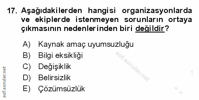 17. soru: Aşağıdakilerden hangisi organizasyonlarda ve ekiplerde istenmeyen sorunların ortaya çıkmasının nedenlerinden biri değ…
