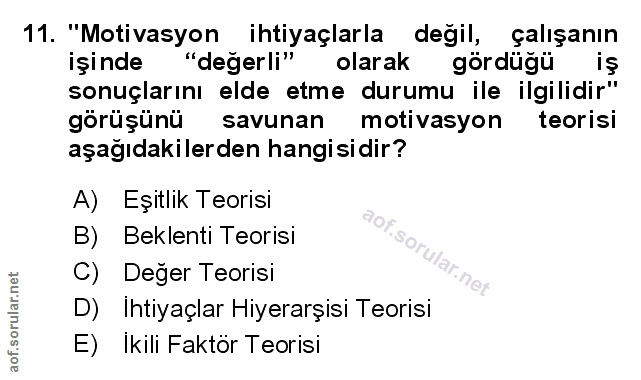 11. soru: "Motivasyon ihtiyaçlarla değil, çalışanın işinde "değer li" olarak gördügü iş sonuçlarını elde etme durumu ile ilgili…