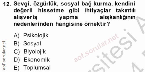 12. soru: Sevgi, özgürlük, sosyal bağ kurma, kendini değerli hissetme gibi ihtiyaçlar takıntılı alışveriş уарта alışkanlığının…