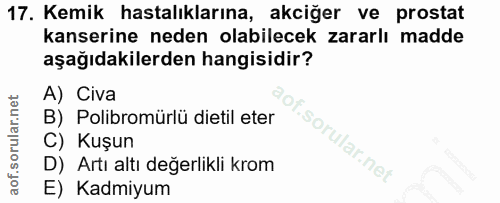 17. soru: Kemik hastalıklarına, akciğer ve prostat kanserine neden olabilecek zararlı madde aşağıdakilerden hangisidir? A) Civa…