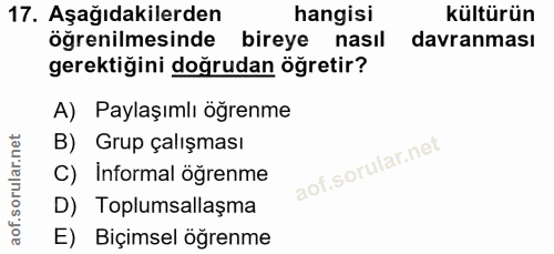 17. soru: Aşağıdakilerden hangisi kültürün öğrenilmesinde bireye nasil davranması gerektiğini doğrudan öğretir? A) Paylaşımlı ö…