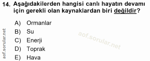 14. soru: Aşağıdakilerden hangisi canlı hayatın devamı için gerekli olan kaynaklardan biri değildir? A) Ormanlar B) Su C) Enerj…