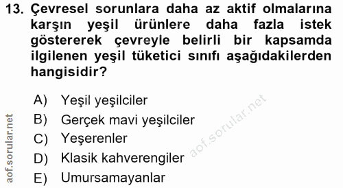13. soru: Çevresel sorunlara daha az aktif olmalarına karşın yeşil ürünlere daha fazla istek göstererek çevreyle belirli bir ka…