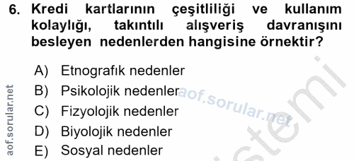 6. soru: Kredi kartlarının çeşitliliği ve kullanım kolaylığı, takıntılı alışveriş davranışını besleyen nedenlerden hangisine ö…