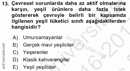 13. soru: Çevresel sorunlarda daha az aktif olmalarına karşın, yeşil ürünlere daha fazla istek göstererek çevreyle belirli bir…
