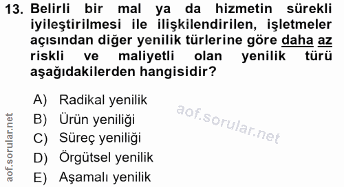 13. soru: Belirli bir mal ya da hizmetin sürekli iyileştirilmesi ile ilişkilendirilen, işletmeler açısından diğer yenilik türle…
