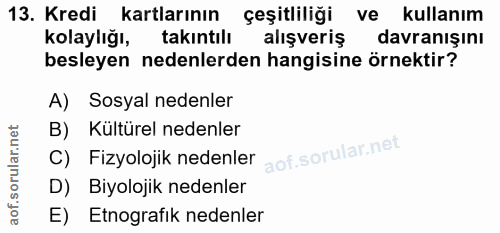 13. soru: Kredi kartlarının çeşitliliği ve kullanım kolaylığı, takıntılı alışveriş davranışını besleyen nedenlerden hangisine ö…