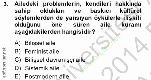 3. soru: Ailedeki problemlerin, kendileri hakkında sahip oldukları ve baskicı kültürel söylemlerden de yansıyan öykülerle iliş…