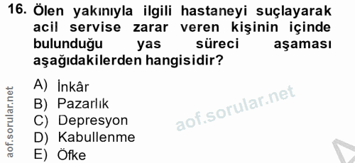 16. soru: Ölen yakınıyla ilgili hastaneyi suçlayarak acil servise zarar veren kişinin içinde bulunduğu yas süreci aşaması aşağı…