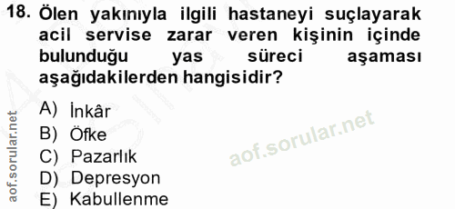 18. soru: Ölen yakınıyla ilgili hastaneyi suçlayarak acil servise zarar veren kişinin içinde bulandiğu yas süreci aşaması aşağı…