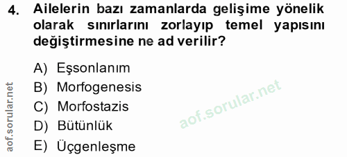 4. soru: Ailelerin bazı zamanlarda gelişime yönelik olarak sınırlarını zorlayıp temel yapısını değiştirmesine ne ad verilir? A…