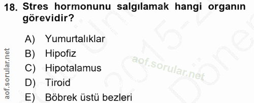 18. soru: Stres hormonunu salgılamak hangi organın görevidir? A) Yumurtalıklar B) Hipofiz C) Hipotalamus D) Tiroid E) Böbrek üs…