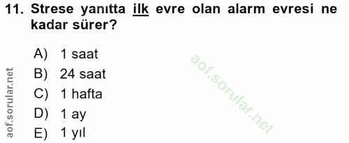 11. soru: Strese yanıtta ilk evre olan alarm evresi ne kadar sürer? A) 1 saat B) 24 saat C) 1 hafta D) 1 ay E) 1 yıl