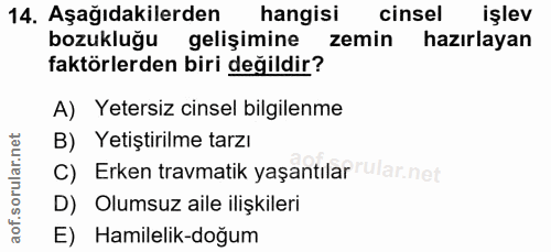 14. soru: Aşağıdakilerden hangisi cinsel işlev bozukluğu gelişimine zemin hazırlayan faktörlerden biri değildir? A) Yetersiz ci…