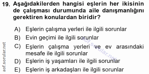 19. soru: Aşağıdakilerden hangisi eşlerin her ikisinin de çalışması durumunda aile danışmanlığını gerektiren konulardan biridir…