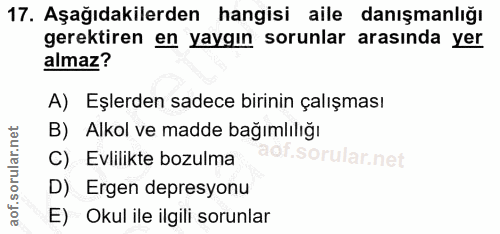 17. soru: Aşağıdakilerden hangisi aile danışmanlığı gerektiren en yaygın sorunlar arasında yer almaz? A) Eşlerden sadece birini…