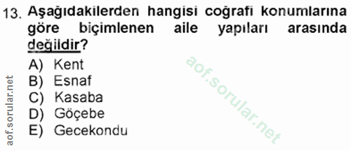 13. soru: Aşağıdakilerden hangisi coğrafi konumlarına göre biçimlenen aile yapıları arasında değildir? A) Kent B) Esnaf C) Kasa…