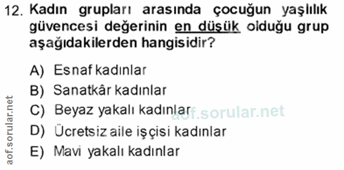 12. soru: Kadın grupları arasında çocuğun yaşlılık güvencesi değerinin en düşük olduğu grup aşağıdakilerden hangisidir? A) Esna…