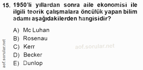 15. soru: 1 aim esada ir tam angi pant .i. A) Mc Luhan B) Rosenau C) Kerr D) Becker E) Dunlop