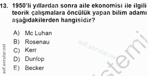 13. soru: 1950'li yıllardan sonra aile ekonomisi ile ilgili teorik çalışmalara öncülük yapan bilim adamı aşağıdakilerden hangis…