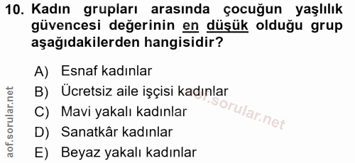 10. soru: Kadın grupları arasında çocuğun yaşlılık güvencesi değerinin en düşük olduğu grup aşağıdakilerden hangisidir? A) Esna…