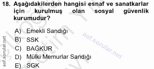 18. soru: Aşağıdakilerden hangisi esnaf ve sanatkarlar için kurulmuş _olan sosyal güvenlik kurumudur? A) Emekli Sandığı B) SSK…