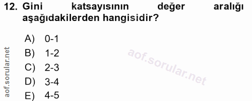 12. soru: Gini katsayısının değer aralığı aşağıdakilerden hangisidir? A) 0-1 B) 1-2 C) 2-3 D) 3-4 E) 4-5