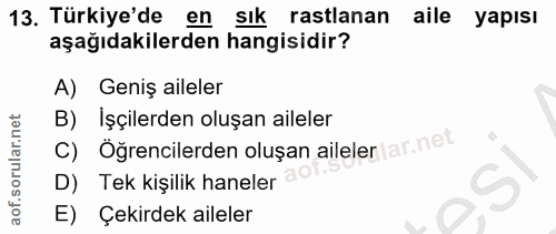 13. soru: Türkiye'de en sık rastlanan aile yapısı aşağıdakilerden hangisidir? A) Geniş aileler B) İşçilerden oluşan aileler C)…