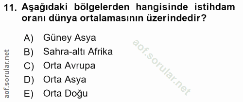 11. soru: Aşağıdaki bölgelerden hangisinde istihdam oranı dünya ortalamasının üzerindedir? A) Güney Asya B) Sahra-altı Afrika C…