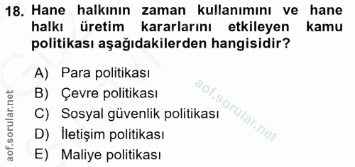 18. soru: Hane halkının zaman kullanımını ve hane halkı üretim kararlarını etkileyen kamu politikası aşağıdakilerden hangisidir…